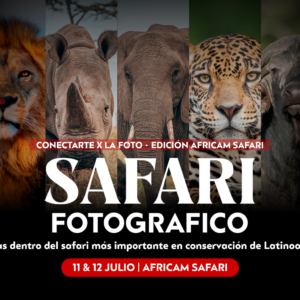 Safari Fotográfico | Conectarte x la Foto Edición Africam Safari